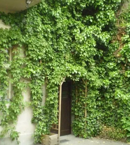 Rossa Apartmán
